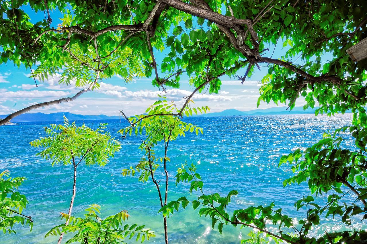Faros Hotel Afissos Zewnętrze zdjęcie